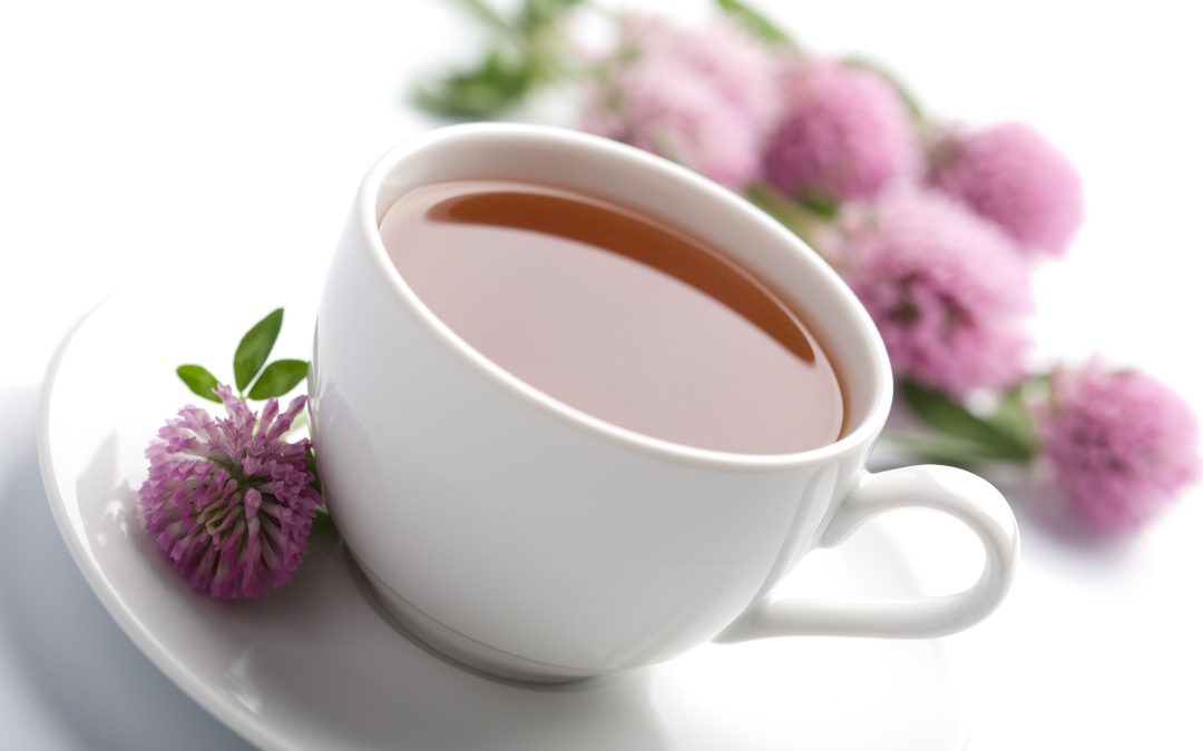 Learn How to Buy Tea Online for Health Benefits and a Perfect Cup at Home