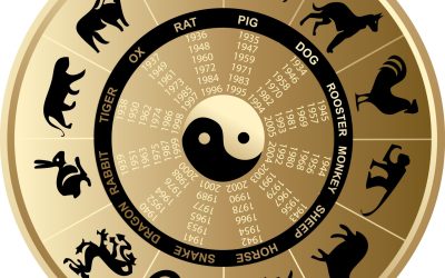What to Expect from a Birth Horoscope Manhattan, NY, Session for Self Awareness