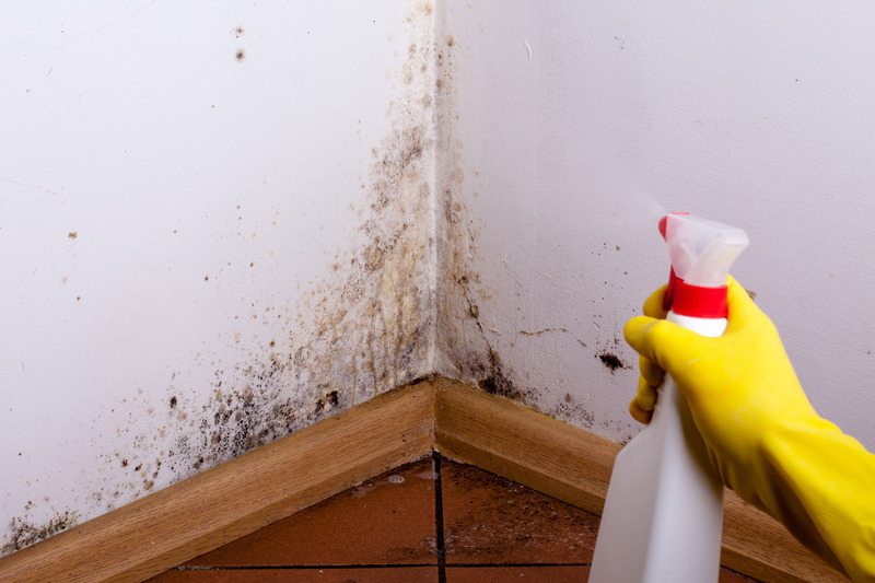 Protect Your Home from Health Risks with Emergency Mold Removal in Miami Services