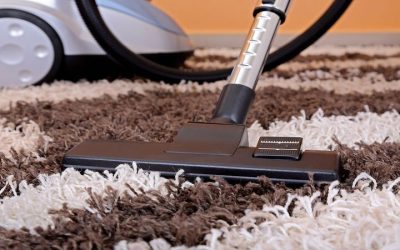 Safeguard Your Family With Certified Mold Inspection Services that Madison, WI Professionals Provide