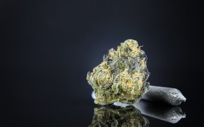 Experience Peace of Mind with Lab Tested THCA Flower for Reliable Relaxation at Home