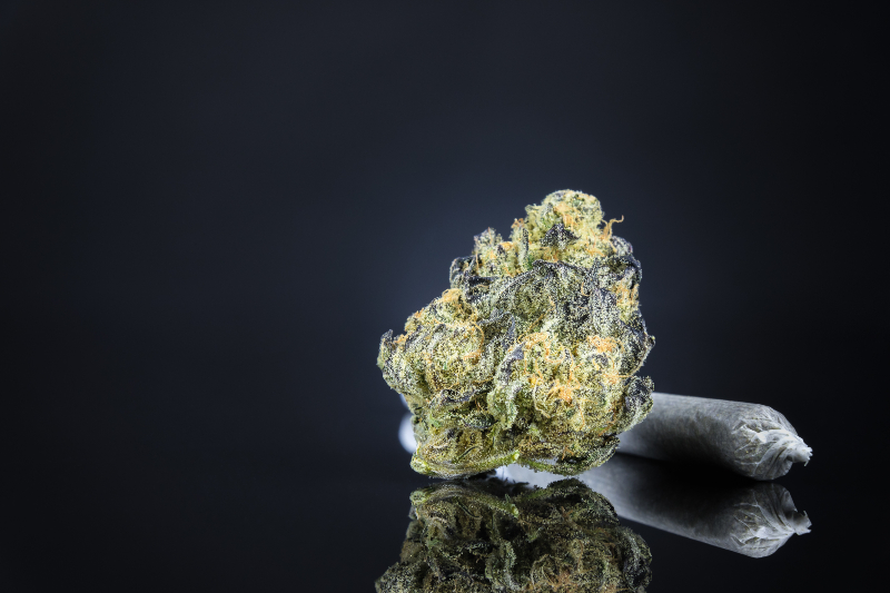 Experience Peace of Mind with Lab Tested THCA Flower for Reliable Relaxation at Home