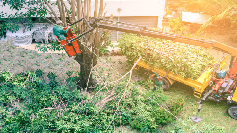 Avoid hazards with affordable debris removal in Ponte Vedra professionals for peace of mind