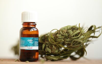 Experience Personalized Care at a Cannabis Dispensary in Longmeadow, MA You Can Trust