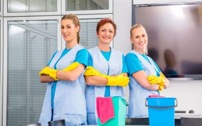 Keeping Busy Households Sparkling With House Cleaners in Madison, WI