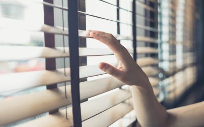 Transform Your Windows with Shutters in Northern KY Homeowners Love for Timeless Style